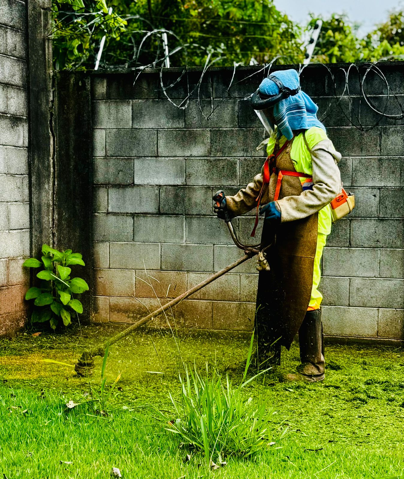 COTIAPREV recebe ações de revitalização por meio do PROJETO MARGARIDA